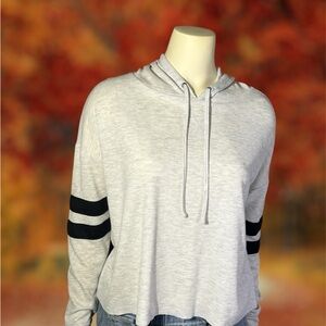 Authentic American Heritage Crop Hoodie